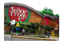 Cancun Senor Frogs spring break